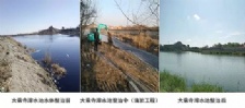  齊齊哈爾市：大乘寺滯水池多措并舉 合力治污