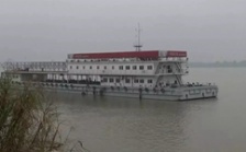  &ldquo;回頭看&rdquo;典型案例通報（一）丨安慶市江豚自然保護(hù)區(qū)不斷瘦身 &ldquo;水中大熊貓&rdquo;生境堪憂