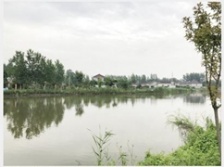  揚州農(nóng)村投放微動力污水處理設備 26個小盒子&ldquo;洗&rdquo;凈全村污水