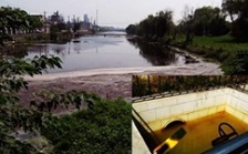  江蘇泰興短期內連遭生態環境部嚴批后續：市委副書記等5人被問責