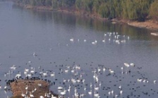  生態環境部召開2018年上半年水環境質量達標滯后地區工作調度會