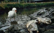  江蘇省廢水污染物在線監(jiān)測(cè)儀器與數(shù)采儀通訊協(xié)議規(guī)范