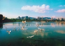  生態環境部通報水源地專項督查進展