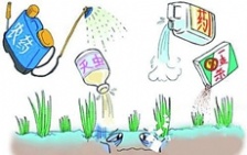  農業(yè)污染總體不樂觀