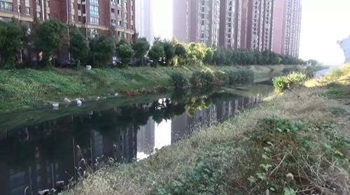 責任未壓實 整改打折扣 安徽蕪湖中央環(huán)保督察整改落實不力